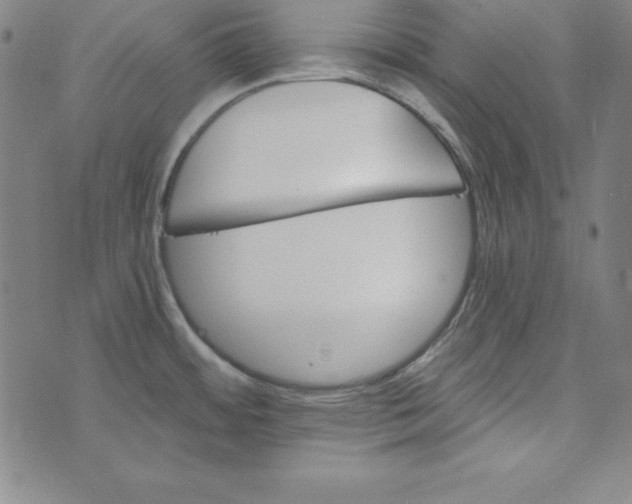 X0000074001484200609111546