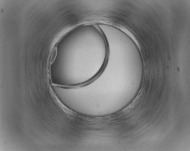 X0000074001485200609111546