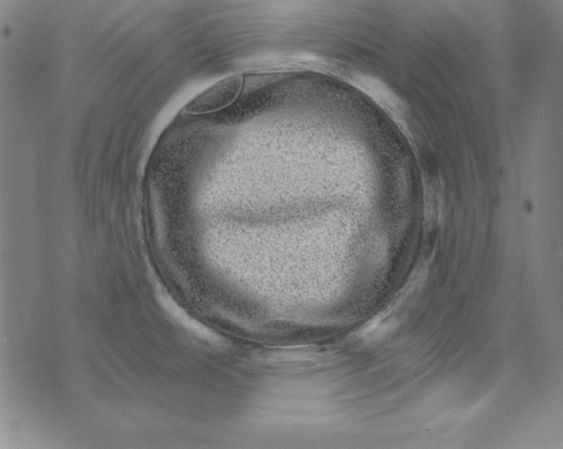 X0000074001486200609111546