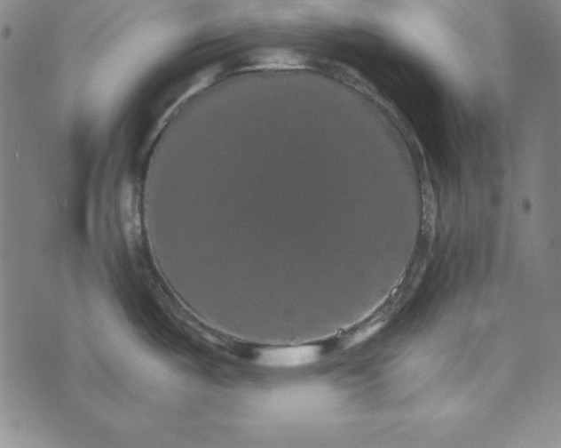 X0000074001487200609111546