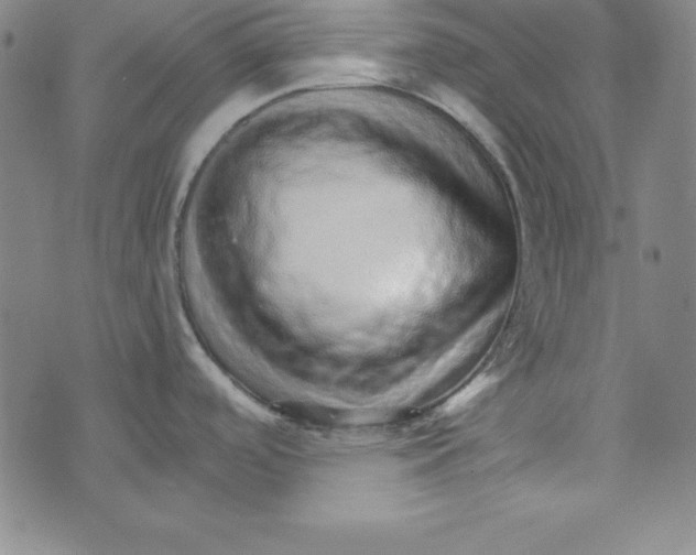 X0000074001488200609111546