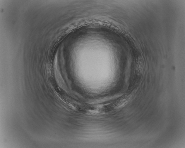 X0000074001490200609111545