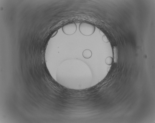 X0000074001491200609111545