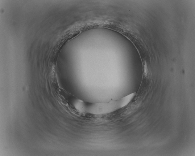 X0000074001492200609111545