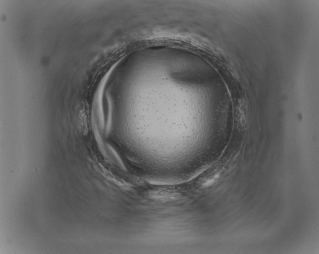 X0000074001493200609111545