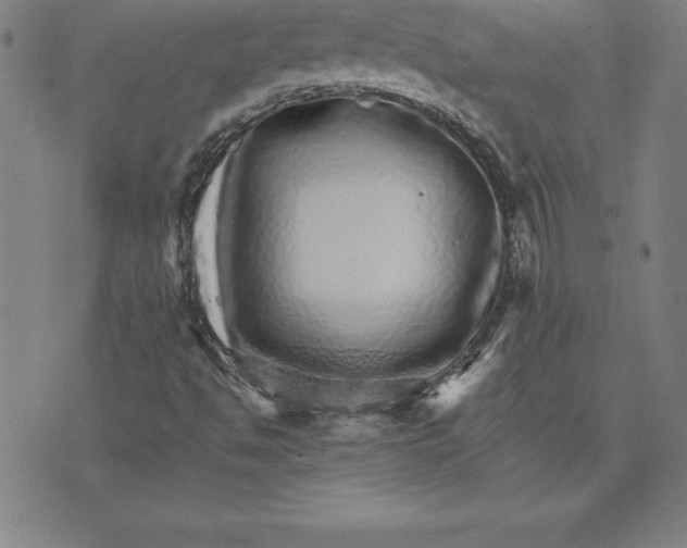 X0000074001494200609111545