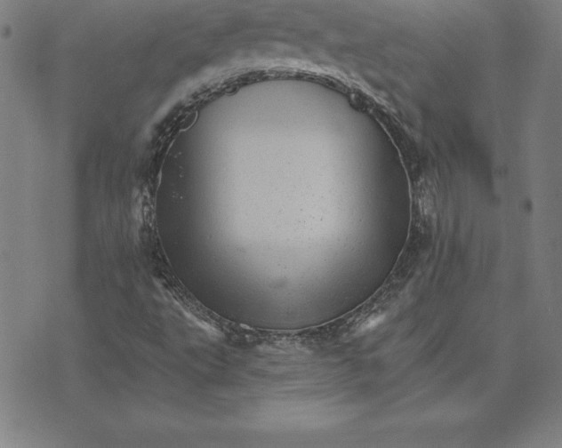 X0000074001495200609111545