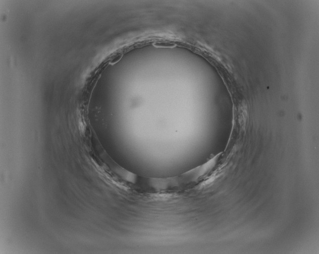 X0000074001496200609111545