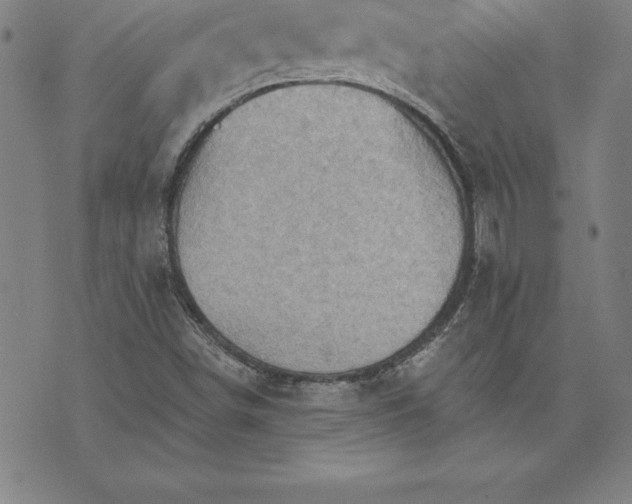 X0000074001498200609111545