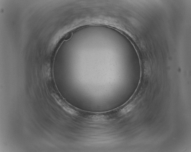 X0000074001499200609111545