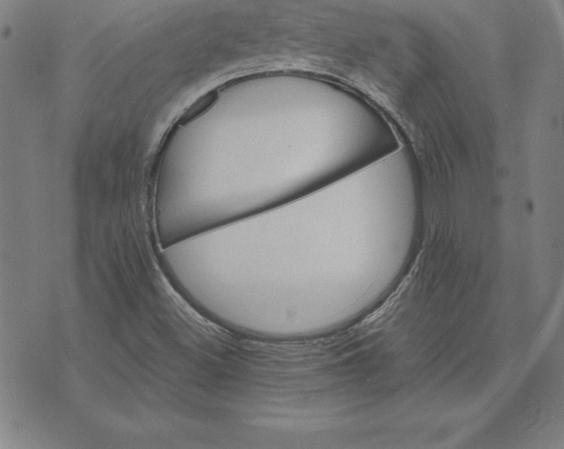 X0000074001500200609111545