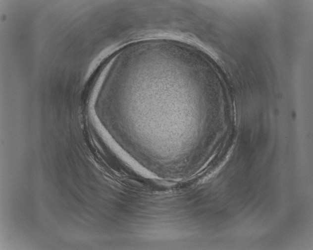 X0000074001501200609111545