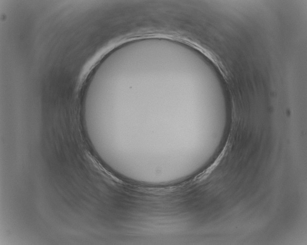 X0000074001502200609111545