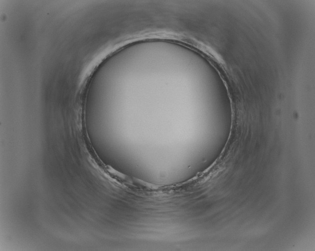 X0000074001504200609111545