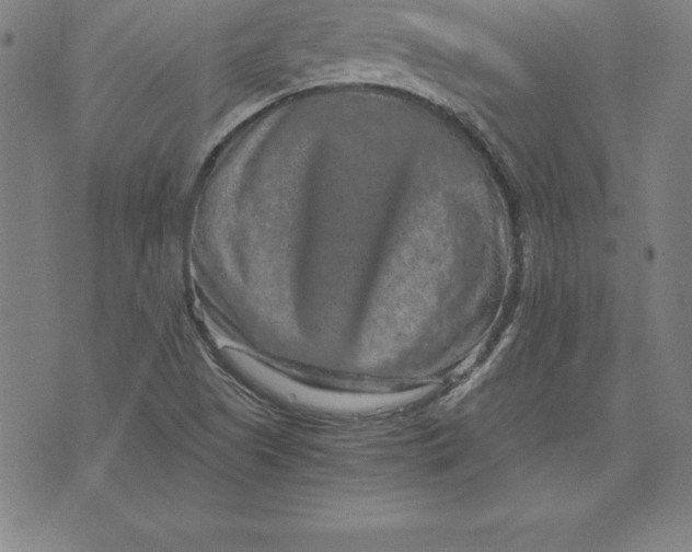 X0000074001505200609111545