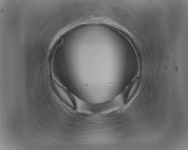 X0000074001506200609111545