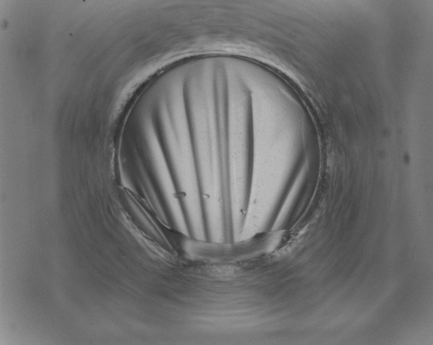 X0000074001507200609111545