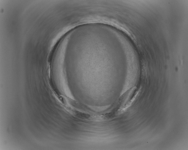 X0000074001509200609111545