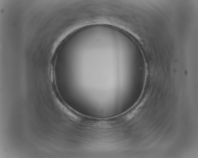 X0000074001510200609111545