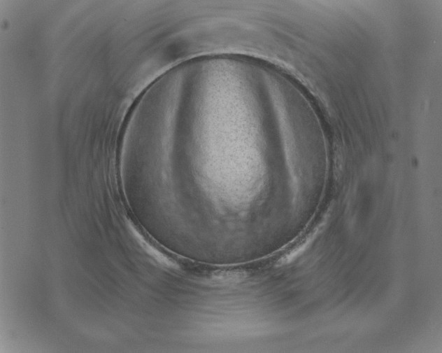 X0000074001513200609111545