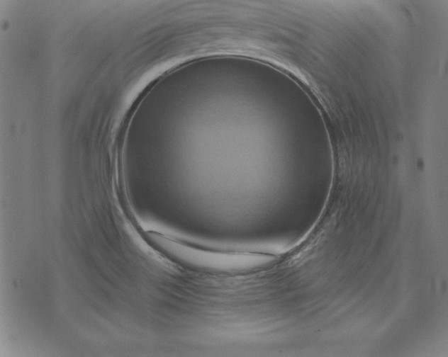 X0000074001515200609111545