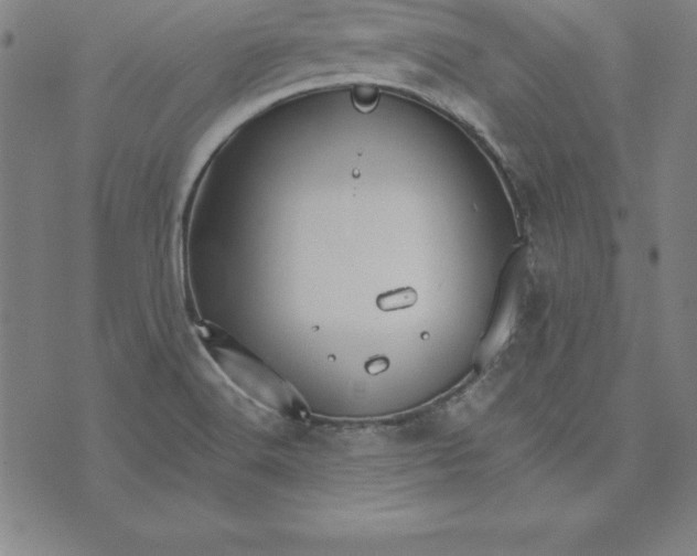 X0000074001516200609111545