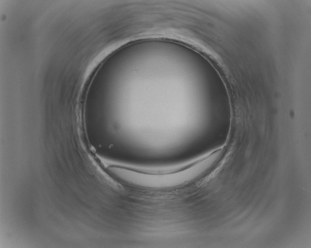 X0000074001517200609111545