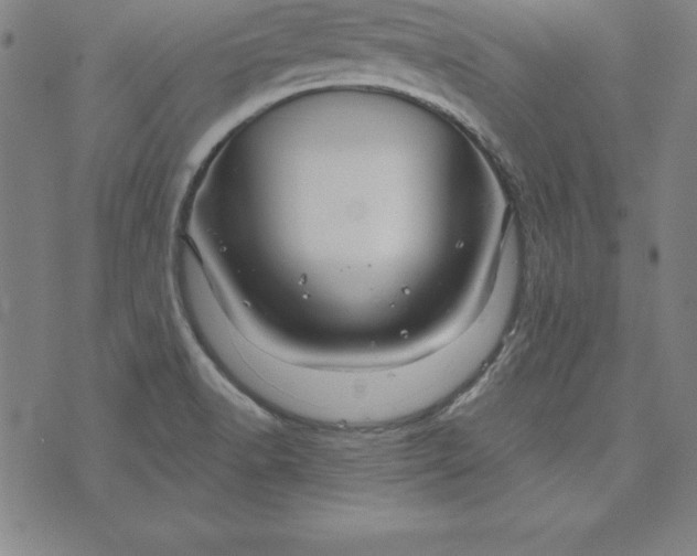 X0000074001518200609111545