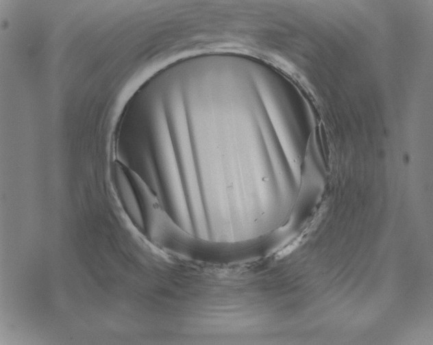 X0000074001520200609111545