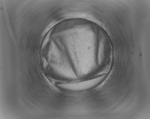 X0000074001521200609111545