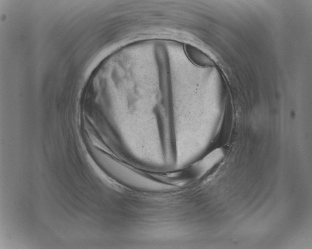 X0000074001523200609111545