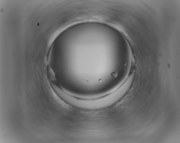 X0000074001524200609111545