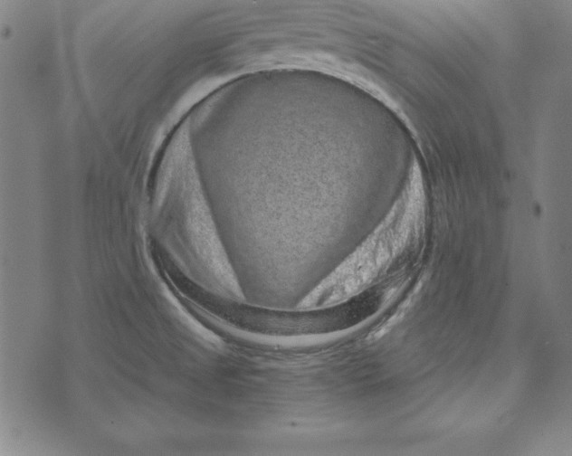 X0000074001525200609111545