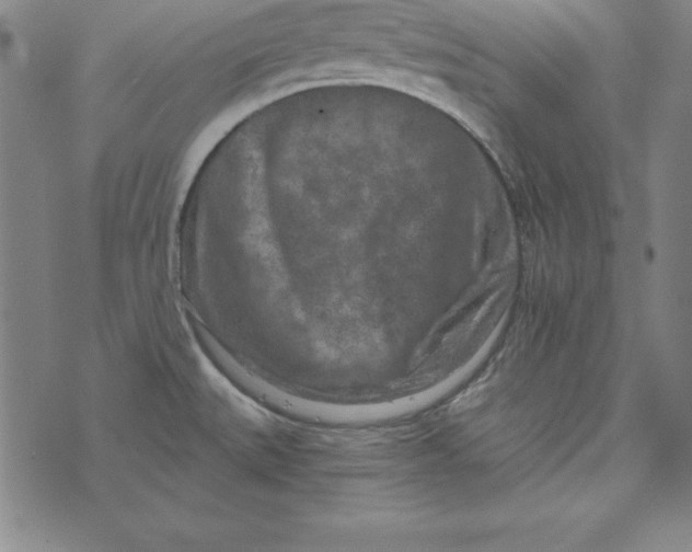 X0000074001527200609111545