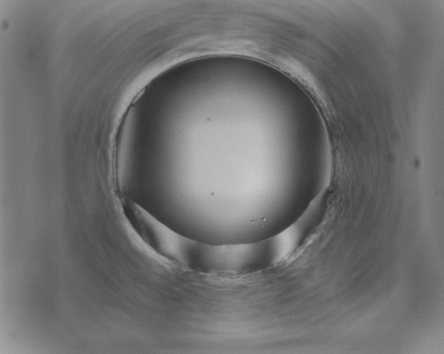 X0000074001528200609111545