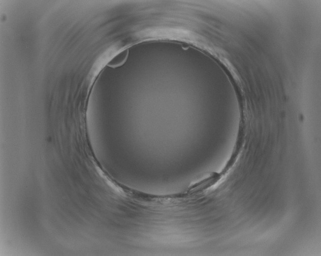 X0000074001529200609111545