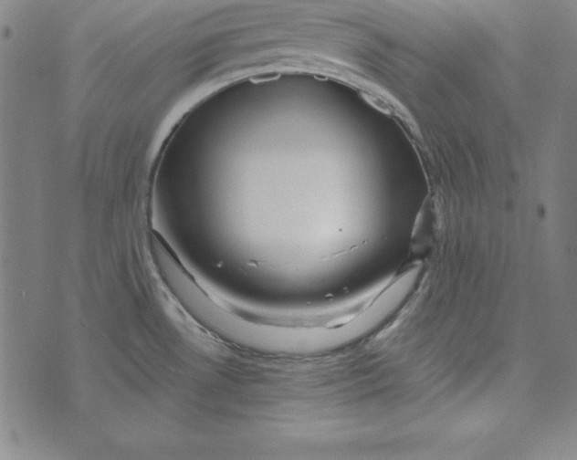 X0000074001530200609111545