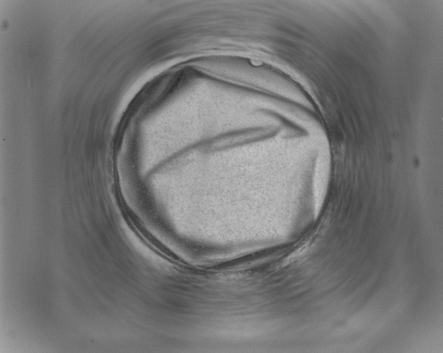 X0000074001531200609111545