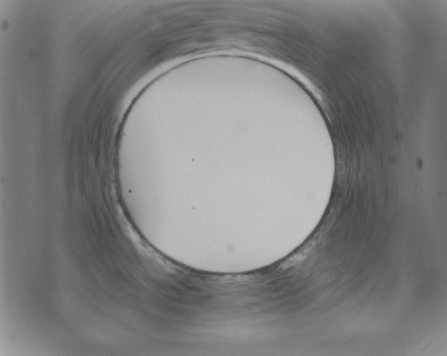 X0000074001534200609111546