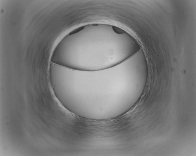 X0000074001536200609111546