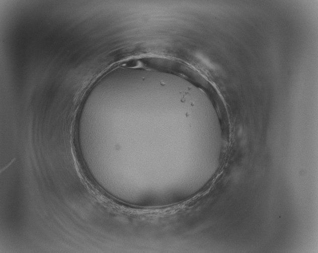 X0000074000001200609181820