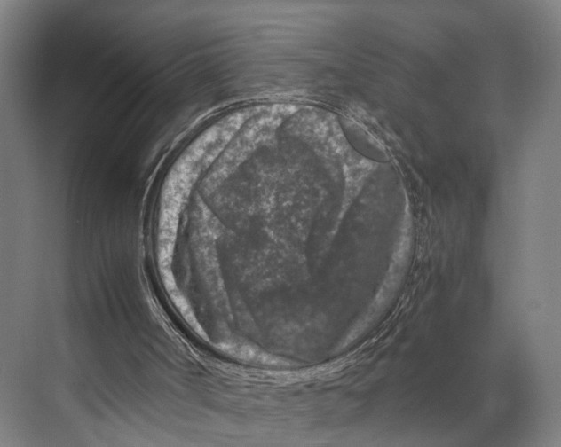 X0000074000002200609181820