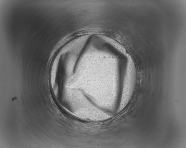 X0000074000004200609181820