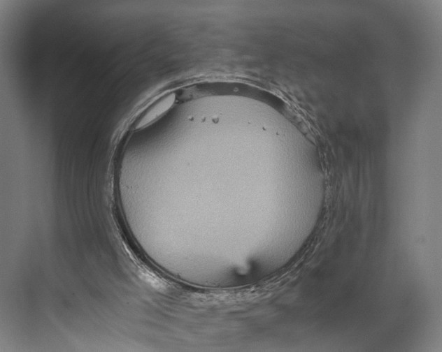 X0000074000005200609181820