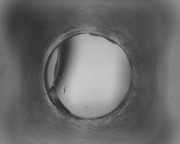 X0000074000007200609181820