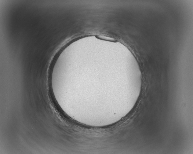 X0000074000008200609181820