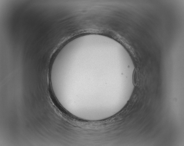 X0000074000011200609181820