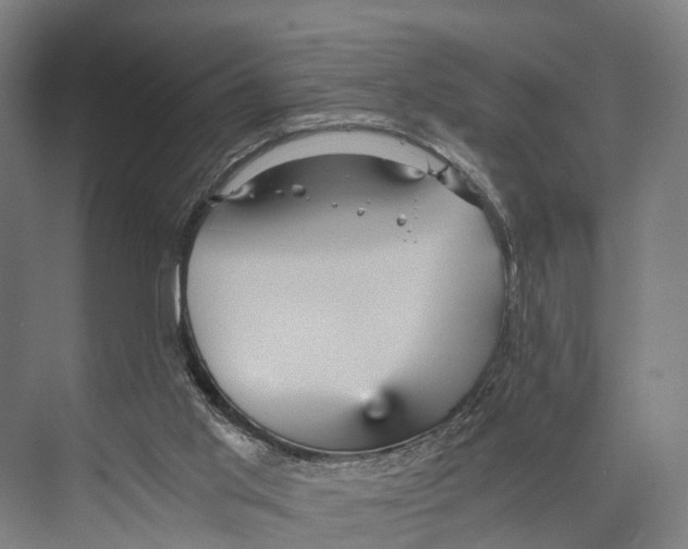 X0000074000013200609181820