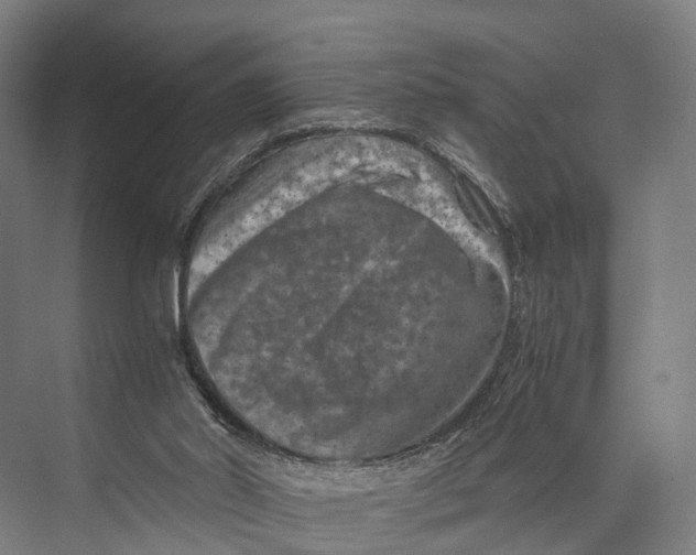 X0000074000014200609181820