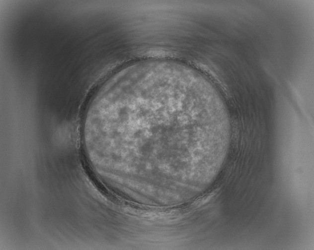 X0000074000016200609181820